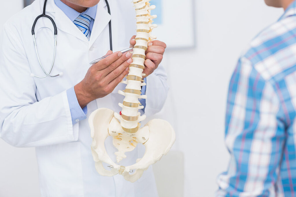 Doctor showing anatomical spine to his patient.